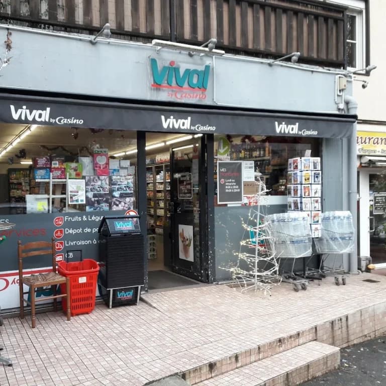 Logo Vival